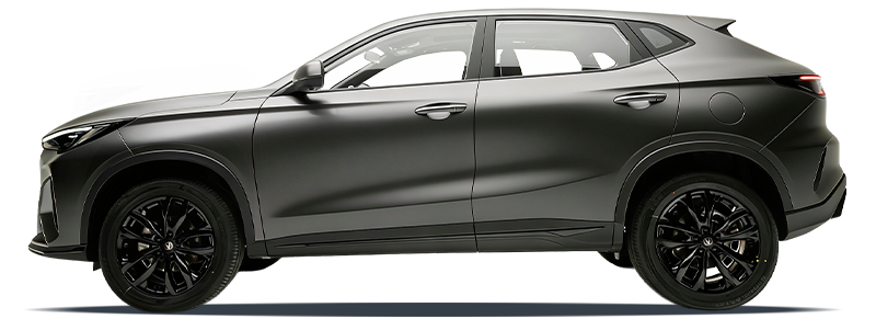 Жұлдызды сұр